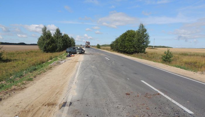 В лобовом ДТП в Лебяжском районе погибли 2 водителя 