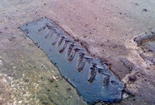 Ремонт дорог. После морозов появятся новые «заплатки»