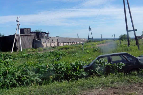 По пути следования Медведева произошло ДТП 
