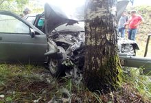 На трассе Вятка ВАЗ слетел с дороги и врезался в дерево