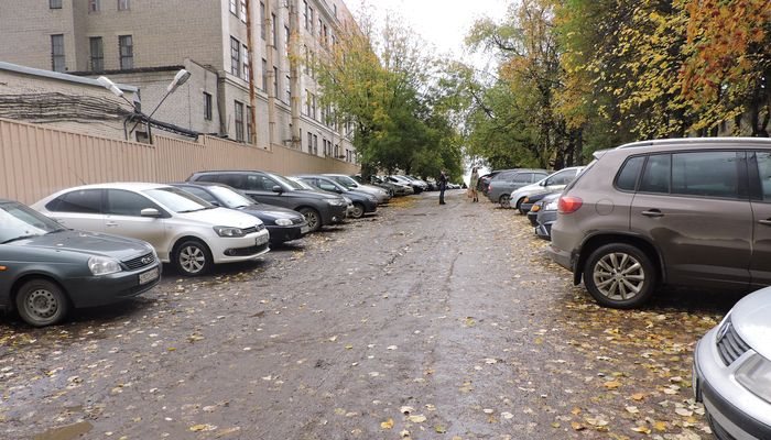 В России могут появиться специальные парковки для многодетных семей и беременных 