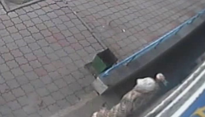 В Кирове на таксиста напали мужчины: момент погони попал на видео