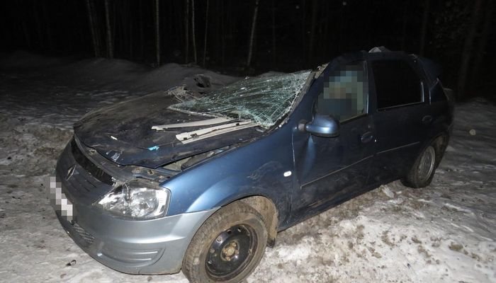 В Свечинском районе легковушка влетела в грузовик: два человека погибли  