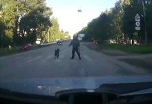 Водитель выложил в Интернет видео, как чуть не сбил пешехода