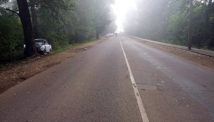 В двух авариях на дорогах области погибли водитель и пешеход 