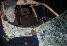 На трассе Киров-Пермь «Хонда» сбила лося