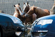 Транспортный налог увеличат вдвое