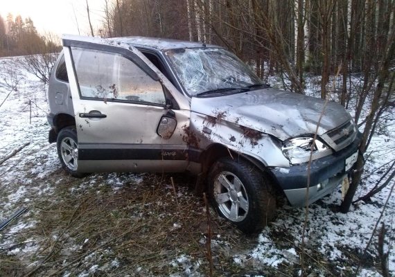 Из-за лося на трассе пострадал водитель «Шевроле»