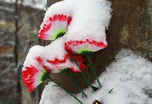 ДТП на Милицейской: оглашены первые результаты экспертизы