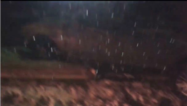 Водитель снял на видео, как легковушку забросило на отбойник у Динопарка