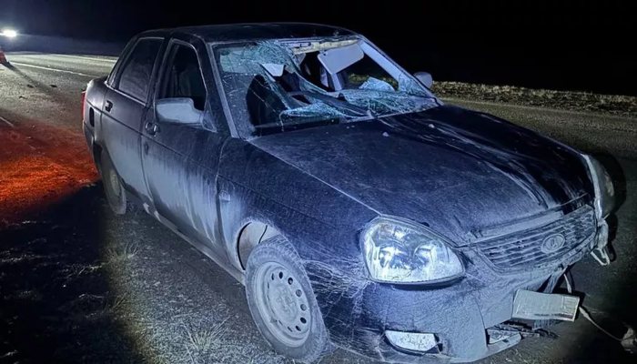 В Кировской области водитель "Лада Приора" насмерть сбил мужчину