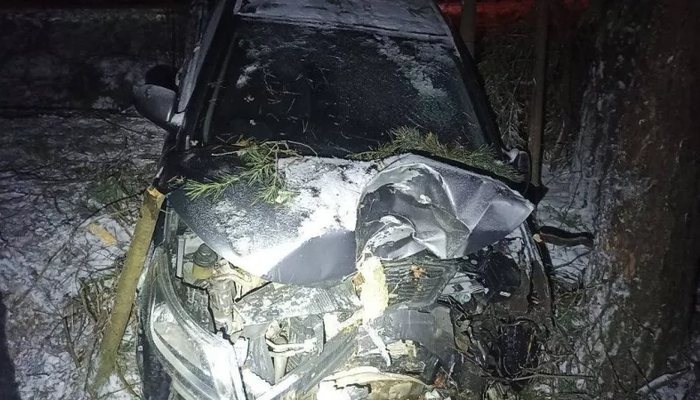 В Лебяжском районе в жестком ДТП с наездом на дерево пострадали четыре человека