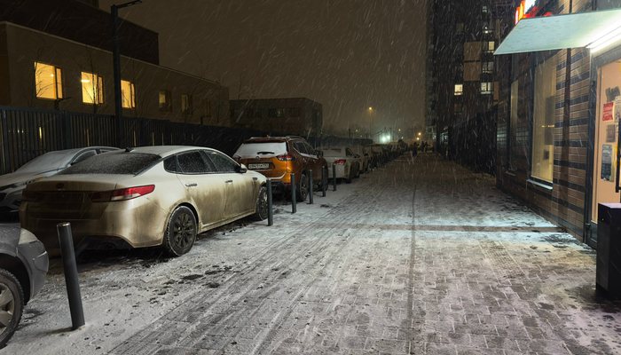 Россиян к 2035 году пересадят на отечественные автомобили