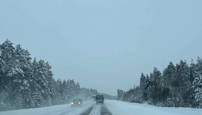 Полицейские рассказали, до скольких лет можно водить машину в России