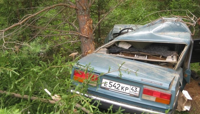 Пенсионер на «семерке» влетел в дерево: водитель погиб