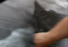 Дождь смыл новые заплаты с асфальта