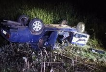 В Кировской области бесправник на "семерке" сбил лося и вылетел в кювет