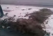 Новые технологии? Асфальт на Лепсе «уделали» навозом