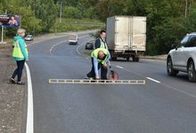 Одну из важнейших улиц Кирова привели в порядок – теперь там можно ездить