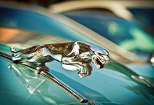 Jaguar Cars: совершенный дизайн, гоночный характер