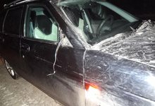 На трассе Киров — Стрижи водитель «Приоры» сбил пешехода