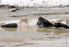 Водители о перекрестке Попова и Комсомольской: «Это дорога в ад»