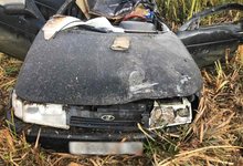 В Кировской области погиб водитель, столкнувшись с лосем