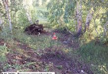 В Кировской области легковушка вылетела в кювет: водитель погиб
