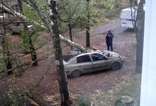 Сильнейший ветер обрушил деревья и перевернул остановки в Кирове