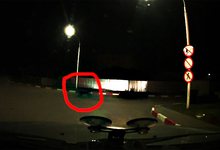 В Кирово-Чепецке по автозаправке бегал кабан