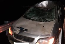 Лоси на дорогах: в Мурашинском районе мужчина на «Опеле» сбил животное