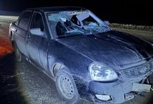 В Кировской области водитель "Лада Приора" насмерть сбил мужчину