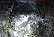 В Лебяжском районе в жестком ДТП с наездом на дерево пострадали четыре человека