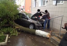 На улице Ленина на автомобиль упало дерево